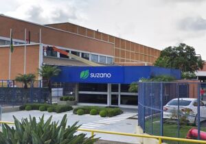 Inscrições para o Programa de Trainee 2025 da Suzano podem ser feitas até sexta-feira