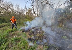 Alto Tietê entra em 'guerra' contra queimadas, monitora áreas e vai multar incendiários