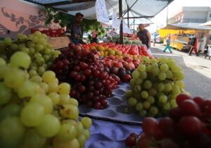 Departamento de Posturas muda endereço da feira do Jardim Revista