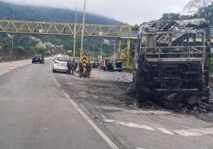 Após morte de torcedor do Cruzeiro, federação proíbe Mancha Alviverde em estádios