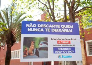 Meio Ambiente reforça conscientização sobre abandono de animais no 'Dezembro Verde'