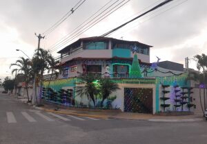 Casa decorada para o Natal chama atenção e encanta moradores de Suzano
