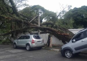 Alto Tietê registra mais de 700 ocorrências após temporal 