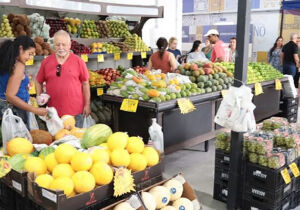 Mercado Municipal abre as portas à população e inicia atendimentos 