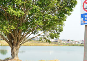 Considerada dano ambiental, Lagoa Azul aguarda Cetesb para ser aterrada em Suzano