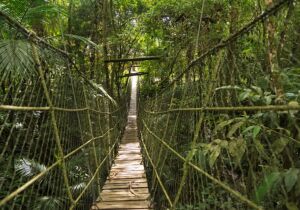 Turismo de inverno movimenta o Alto Tietê e reforça importância da qualificação profissional