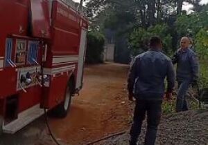 Incêndio em mata atinge bairro em Suzano