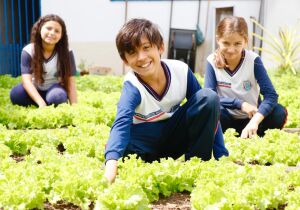 Educação sustentável transforma escola de Suzano em referência ambiental e empreendedora