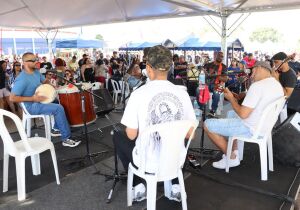 Max Feffer recebe edição especial do projeto 'Samba no Parque' neste domingo