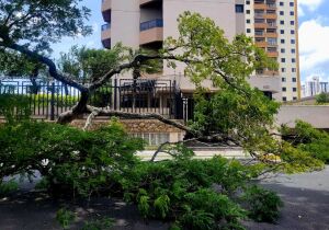 Suzanenses calculam 29 horas sem luz e até uma semana sem água 