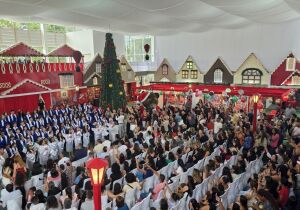 Estação Natal Poá é aberta com decoração, cultura e Papai Noel