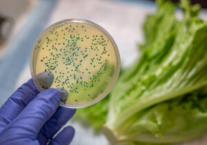 Águas e alimentos contaminados infectam 96 pessoas no Alto Tietê 