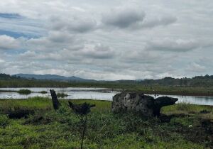 Homem morre afogado em represa de Salesópolis