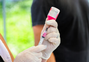 Ferraz mantém postos fixos de vacinação antirrábica durante todo o ano