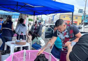 Poá promove campanha de vacinação antirrábica e adoção responsável de cães e gatos nesta sexta-feira