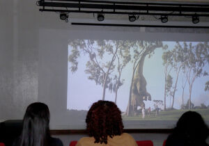 Cidades da região buscam alternativas para o déficit de cinemas públicos à população