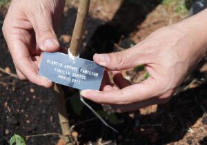 Suzano alcança patamar de sustentabilidade com projetos voltados à melhoria da qualidade de vida