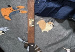 Mulher é presa no Maranhão suspeita de ter ligação com invasão em escola de Suzano