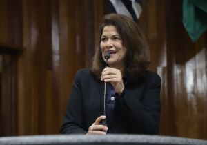 Projeto que cria programa de apoio e geração de renda para mães atípicas é aprovado em Mogi