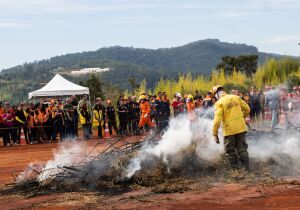 Defesa Civil participa de simulado de incêndio no Parque Estadual do Juquery