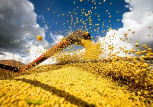 Conab: produção de grãos pode chegar a 358,6 milhões de toneladas