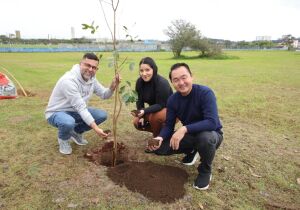 No Mês do Meio Ambiente, OAB Suzano planta 50 árvores no Parque Max Feffer