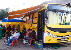 Mutirão de castração gratuita beneficia 200 cães e gatos no Parque São Francisco