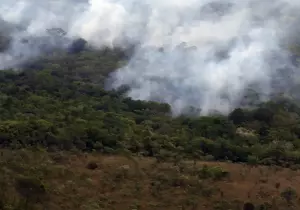 Copernicus: emissão global de gases por incêndios é a menor em 24 anos