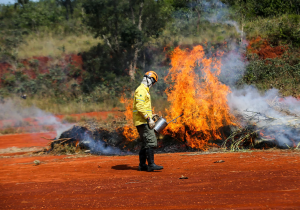 Ação humana é a principal causa de incêndios; confira dicas da Defesa Civil
