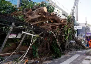 Ventania em RJ, SP e RS expõe falhas na resposta a extremos climáticos