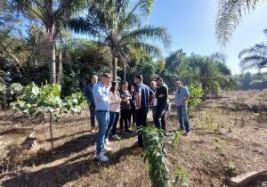 Governo de SP restaura cerca de 60 hectares da Bacia do Alto Tietê