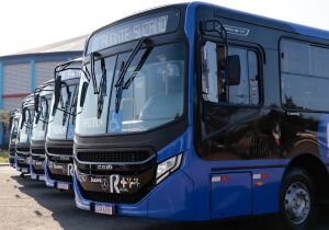 Pessoas cegas têm cão-guia e gratuidade no transporte