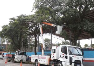Manutenção realiza poda em 16 ruas da região central em razão da previsão de ventos fortes