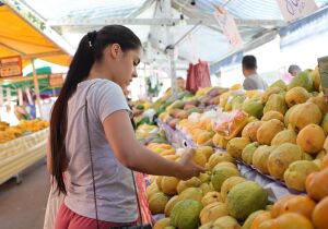 Feira livre da Praça Afonso Carlos, em Ferraz, terá endereço temporário durante obras