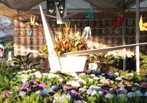 33ª Expo Aflord chega ao último fim de semana com exposição e venda de flores, shows e Miss Batian