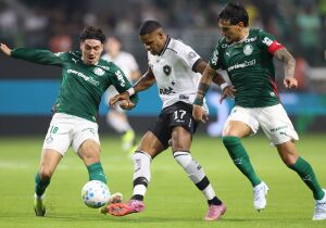 Palmeiras vai ao RJ enfrentar o Botafogo