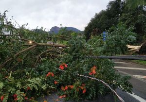 Alerta de tempestade: frente fria amplia instabilidade na Região Sul
