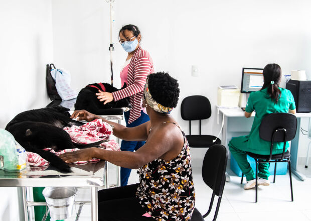 Cidades mantêm clínicas veterinárias, mas miram hospitais para atender Pets