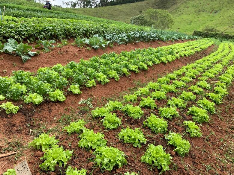 Colaboradores da Unidade Suzano são beneficiados com produtos agroecológicos durante as refeições