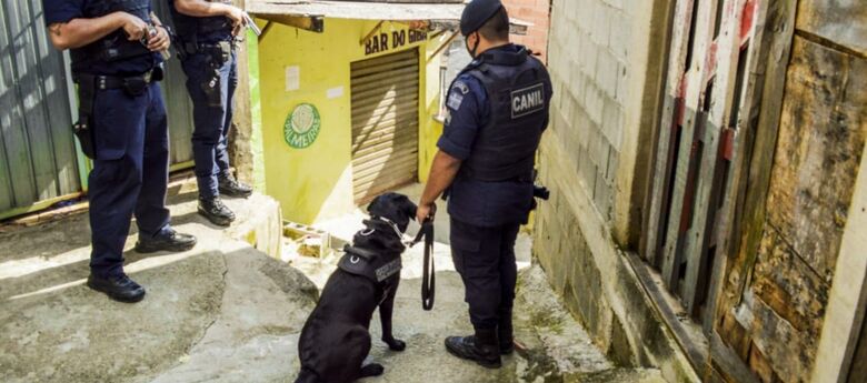 Cão policial, Sam, localizou drogas em Itaquá