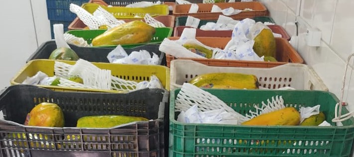 Banco de Alimentos de Itaquá distribui quase três toneladas de alimentos