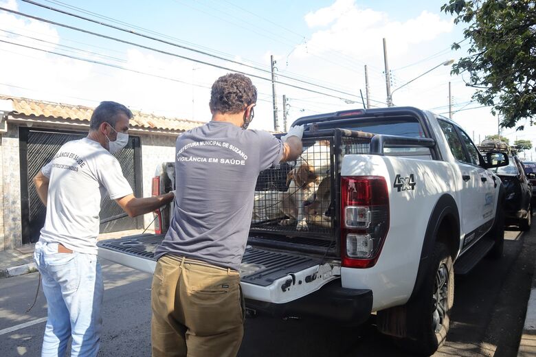 Meio Ambiente de Suzano faz balanço dos cinco primeiros meses de 2021
