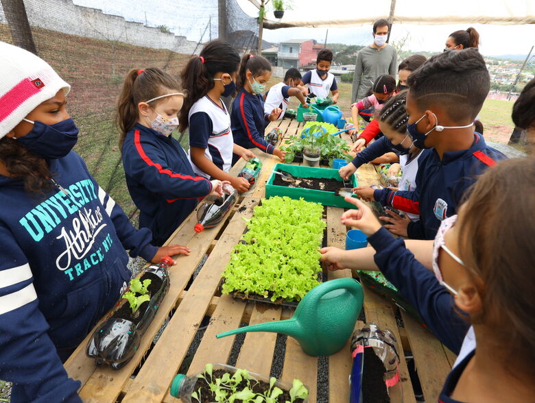 Escola no Jardim Belém constrói viveiro e cultiva horta com os alunos