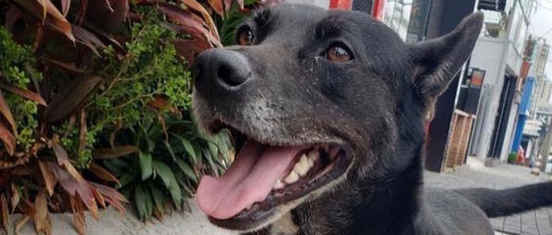 Meg está desaparecida desde quarta-feira