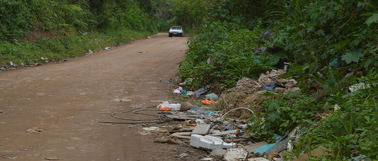Três estradas vicinais de Suzano aguardam melhorias do Estado