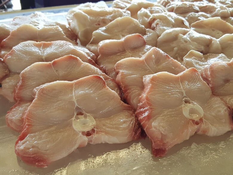 Entidade aponta riscos aos estudantes da carne de cação na merenda