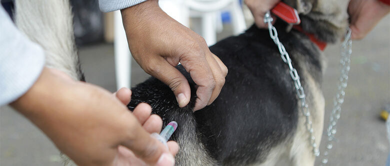 Poá realiza aplicação de 400 doses nesta sexta-feira