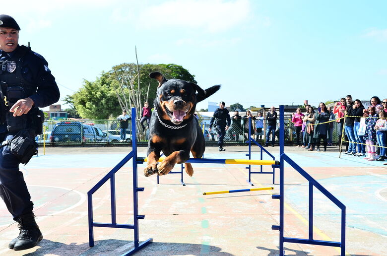 Canil da GCM faz apresentação no Jardim Colorado