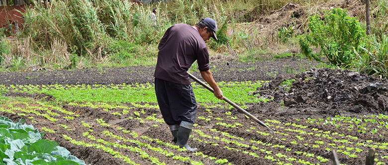 Patrulha no campo busca reduzir as ocorrências nas cidades