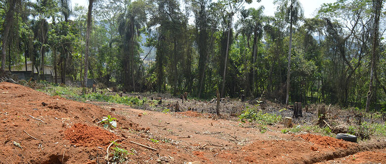 Ações buscam proteger áreas